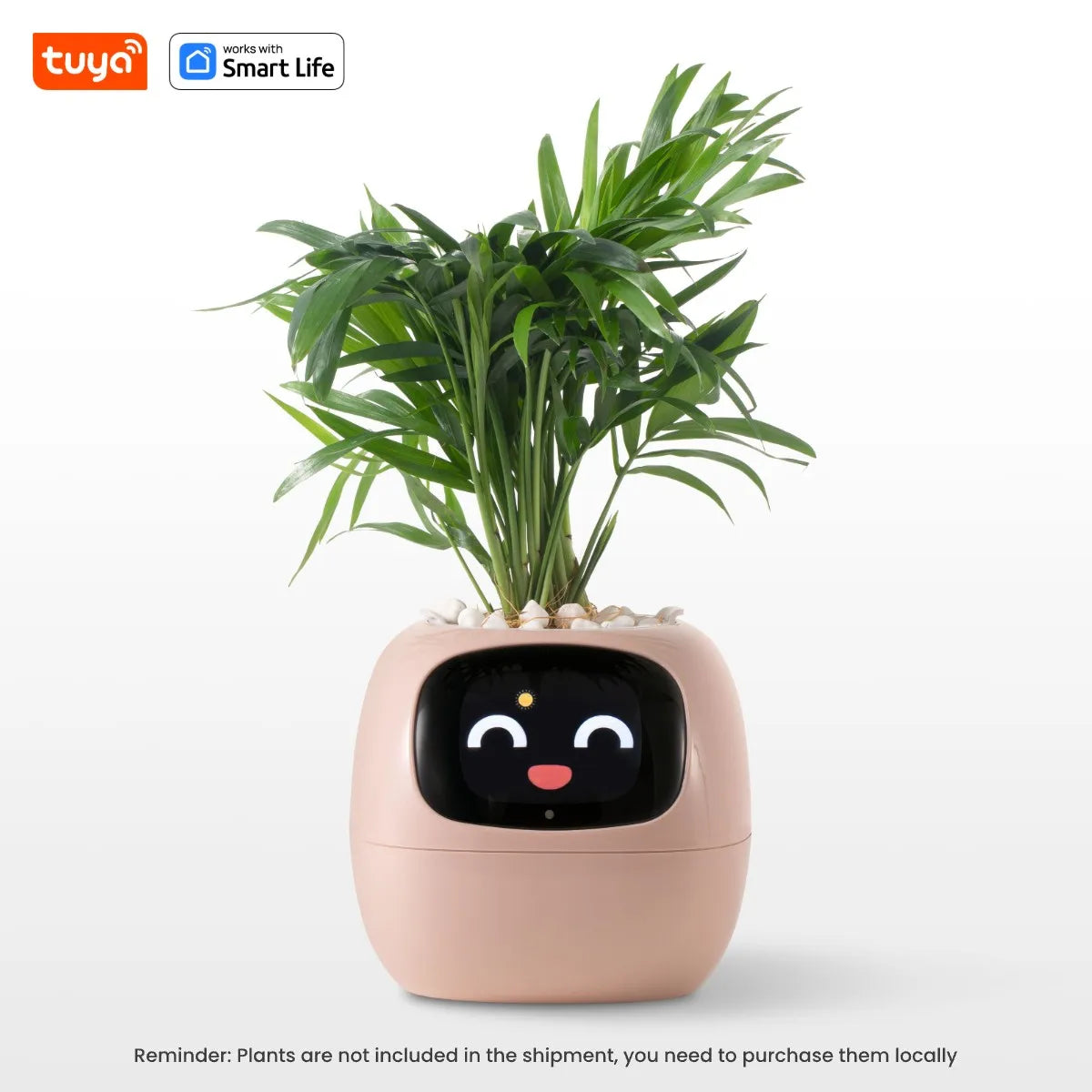 Tuya Ivy Smart Planter, Divertimento senza fine con oltre 49 espressioni ricche, 7 sensori intelligenti, chip AI che rendono facile e divertente coltivare le piante