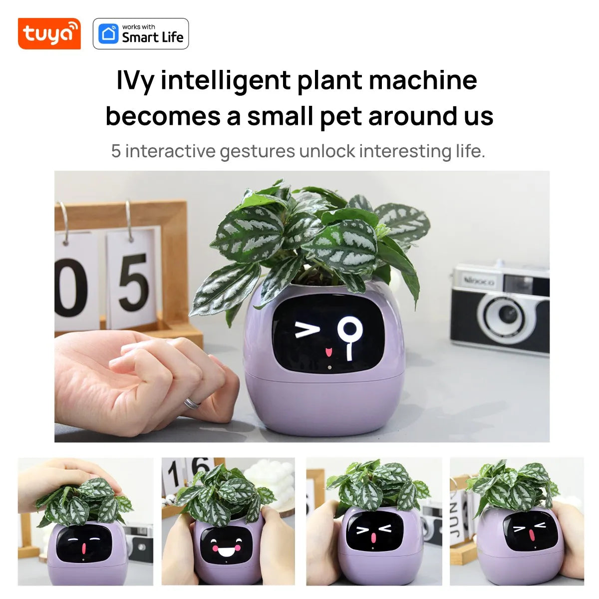 Tuya Ivy Smart Planter, Divertimento senza fine con oltre 49 espressioni ricche, 7 sensori intelligenti, chip AI che rendono facile e divertente coltivare le piante