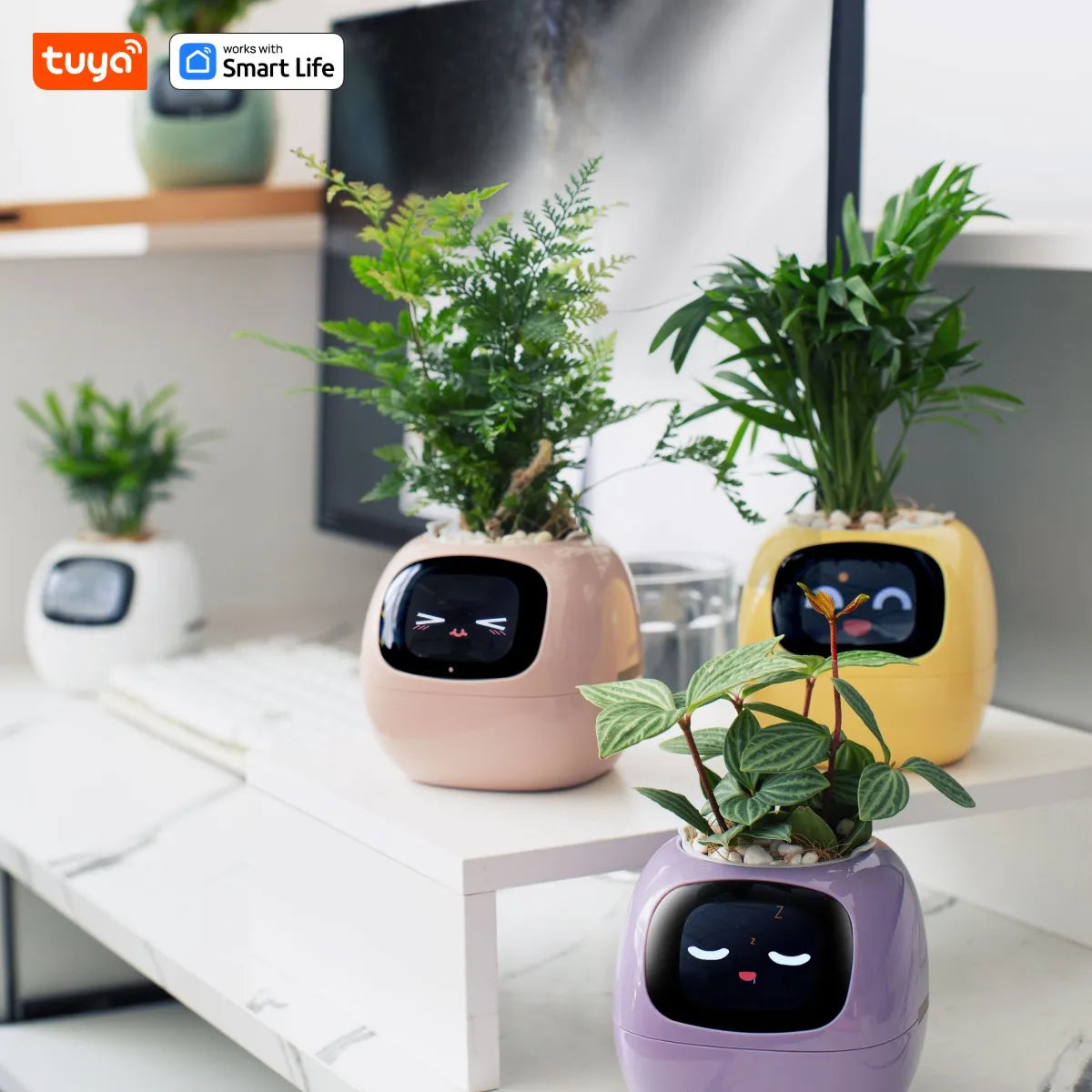 Tuya Ivy Smart Planter, Divertimento senza fine con oltre 49 espressioni ricche, 7 sensori intelligenti, chip AI che rendono facile e divertente coltivare le piante