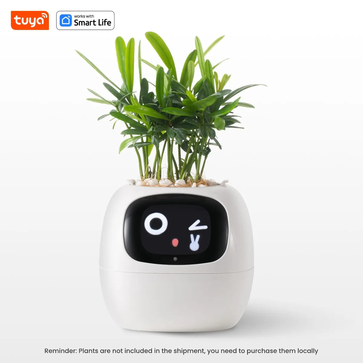 Tuya Ivy Smart Planter, Divertimento senza fine con oltre 49 espressioni ricche, 7 sensori intelligenti, chip AI che rendono facile e divertente coltivare le piante