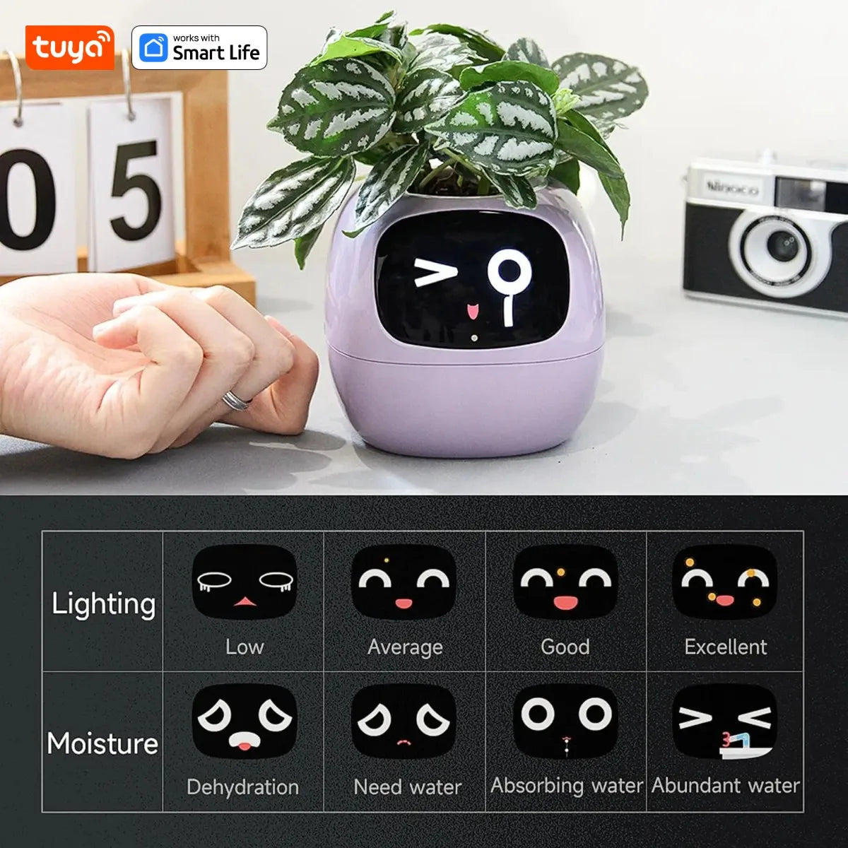 Tuya Ivy Smart Planter, Divertimento senza fine con oltre 49 espressioni ricche, 7 sensori intelligenti, chip AI che rendono facile e divertente coltivare le piante