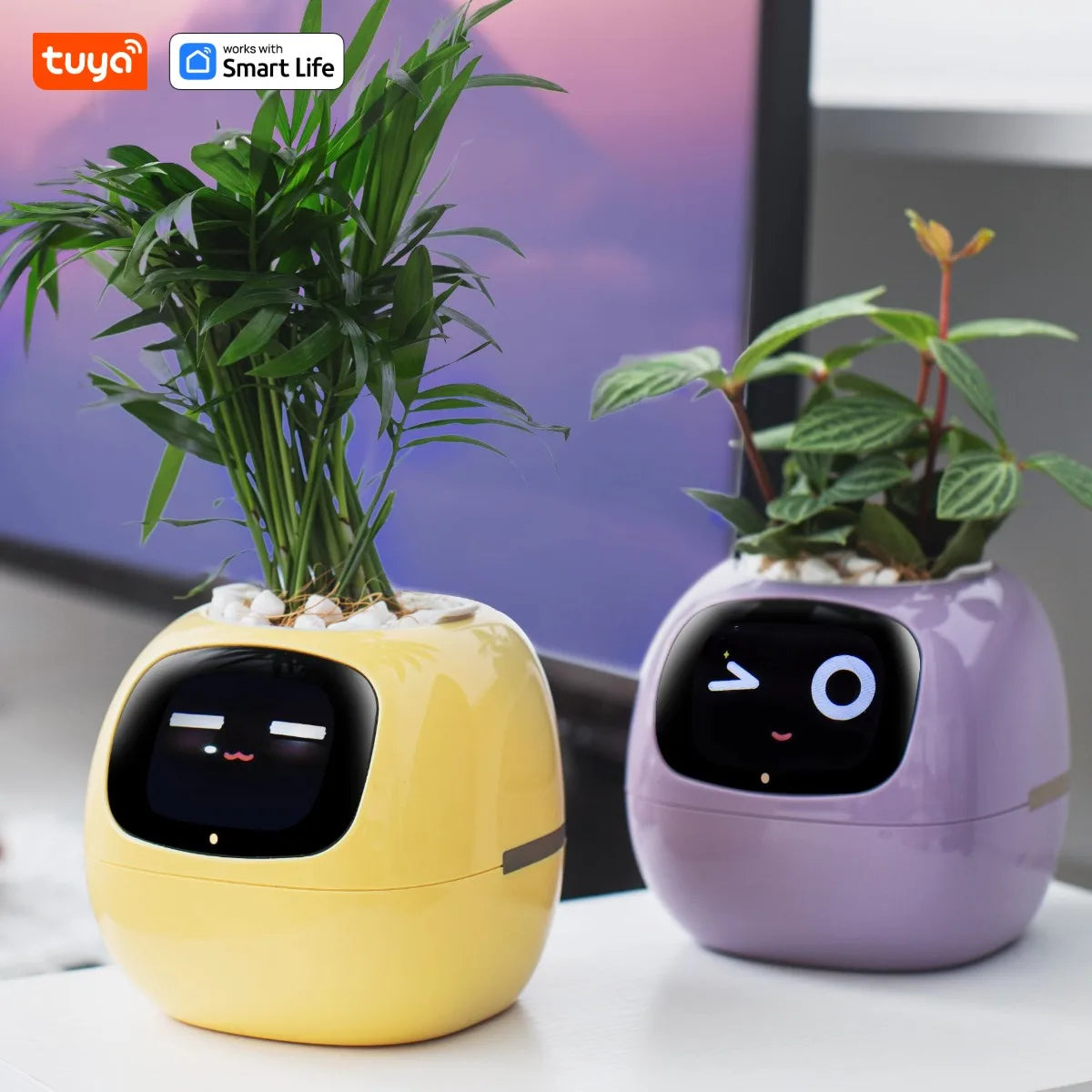 Tuya Ivy Smart Planter, Divertimento senza fine con oltre 49 espressioni ricche, 7 sensori intelligenti, chip AI che rendono facile e divertente coltivare le piante