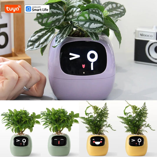 Tuya Ivy Smart Planter, Divertimento senza fine con oltre 49 espressioni ricche, 7 sensori intelligenti, chip AI che rendono facile e divertente coltivare le piante