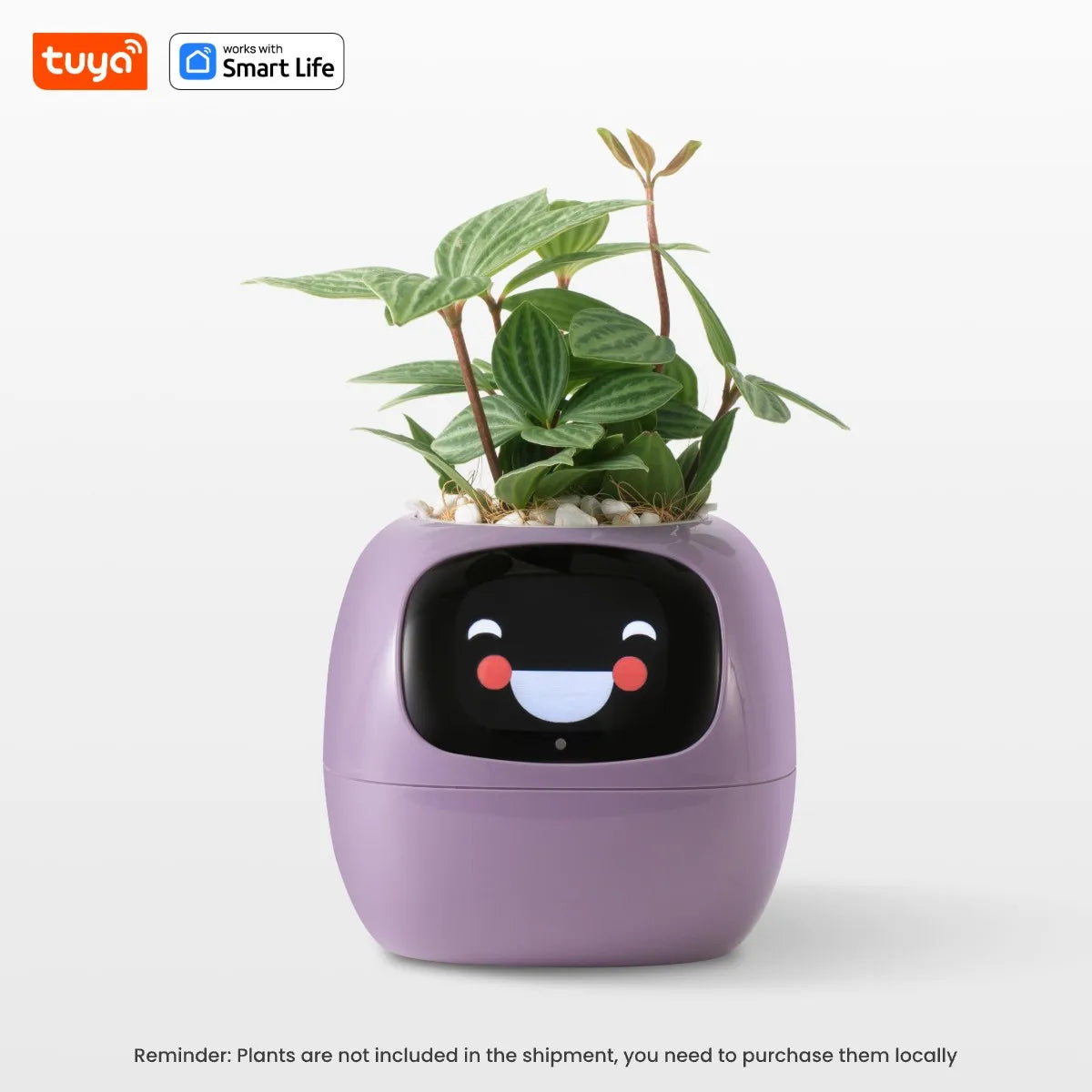 Tuya Ivy Smart Planter, Divertimento senza fine con oltre 49 espressioni ricche, 7 sensori intelligenti, chip AI che rendono facile e divertente coltivare le piante