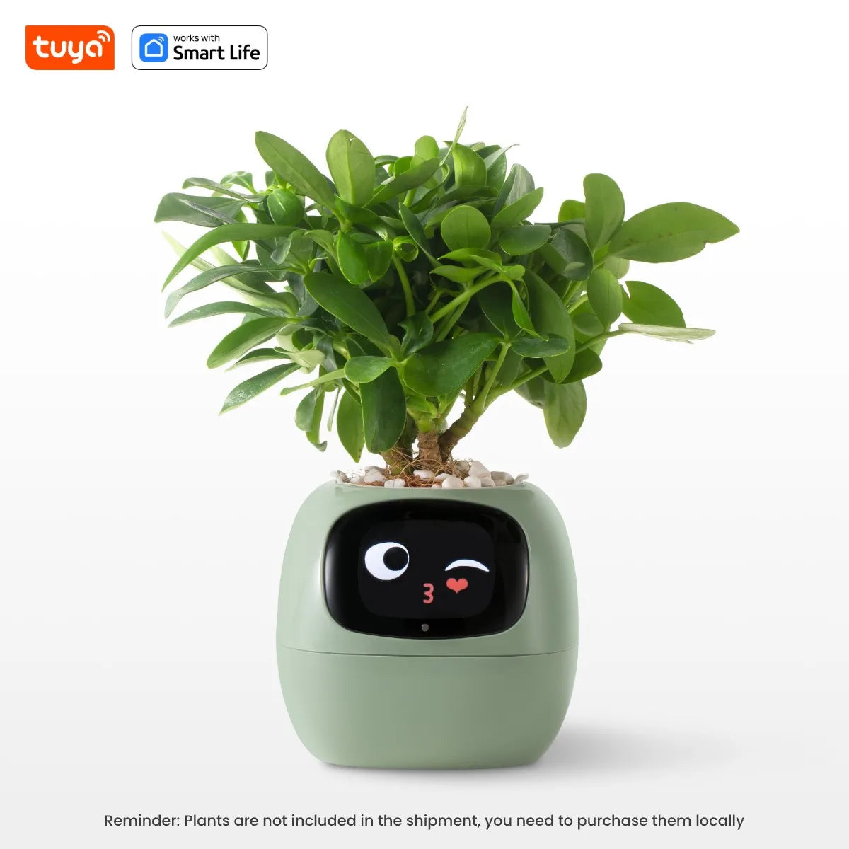 Tuya Ivy Smart Planter, Divertimento senza fine con oltre 49 espressioni ricche, 7 sensori intelligenti, chip AI che rendono facile e divertente coltivare le piante