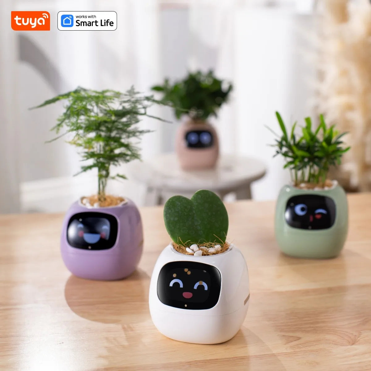 Tuya Ivy Smart Planter, Divertimento senza fine con oltre 49 espressioni ricche, 7 sensori intelligenti, chip AI che rendono facile e divertente coltivare le piante